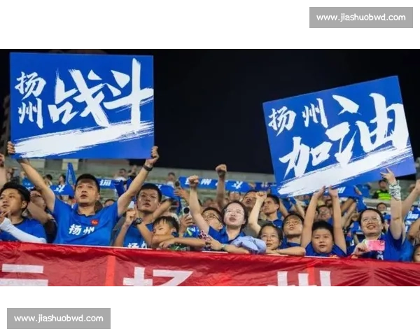 扬州企业家驾机飞越苏超赛场 5 架国产飞机编队空中助威